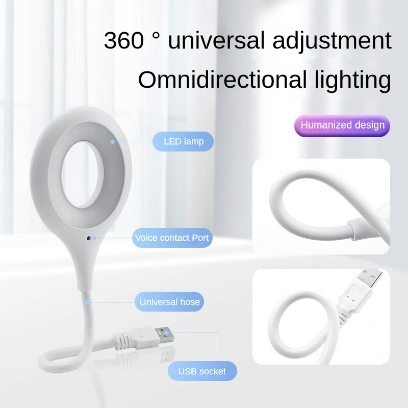 IT004 USB Small Desk Lamp