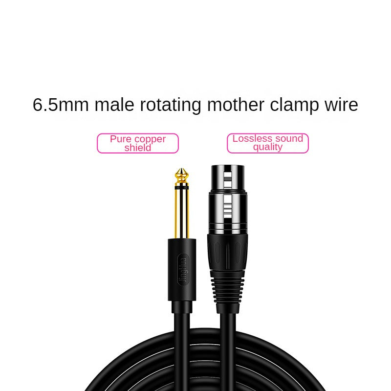 IA155 6.5 to XLR Cable