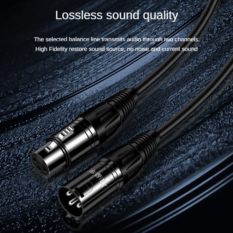 IA153 XLR Audio Cable