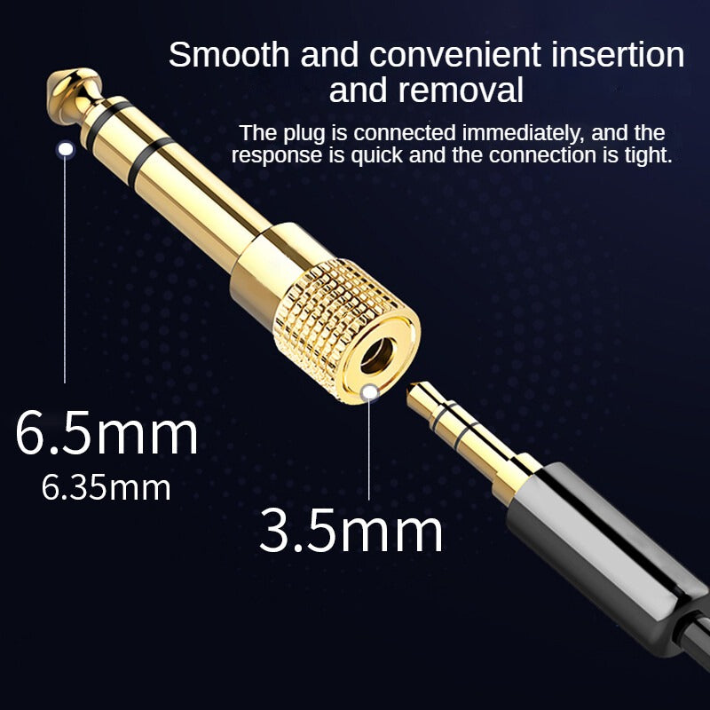 IS310 6.5mm to 3.5mm audio conversion plug