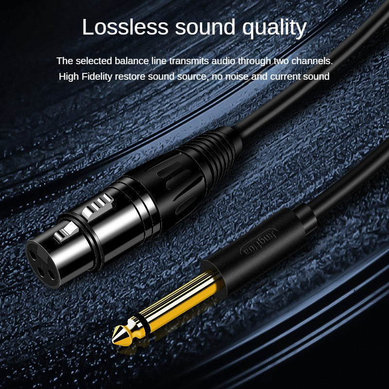 IA155 6.5 to XLR Cable