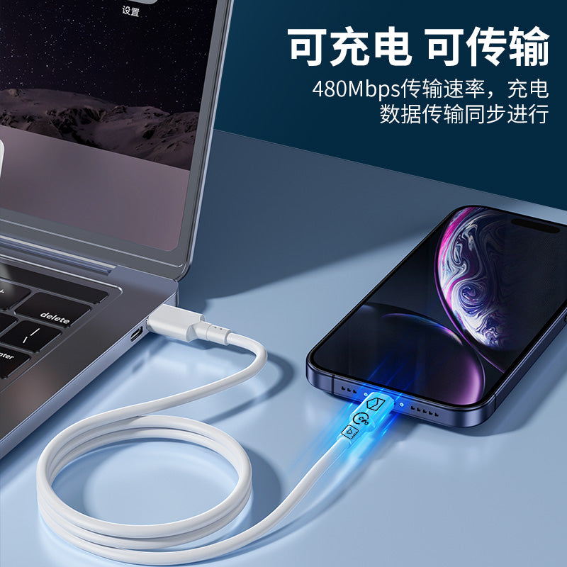 IM185 Type-C 60W Data Cable